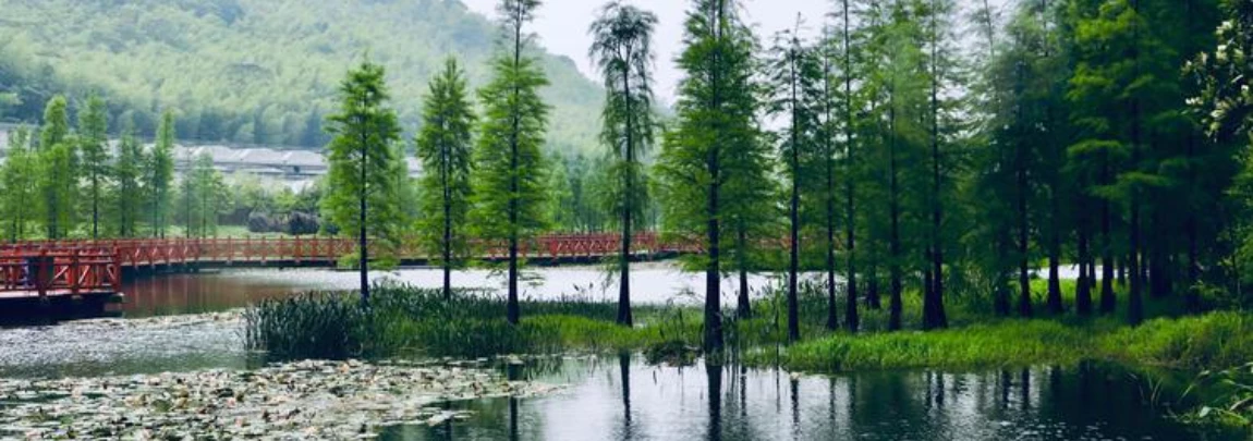 Shimen National Forest Park
