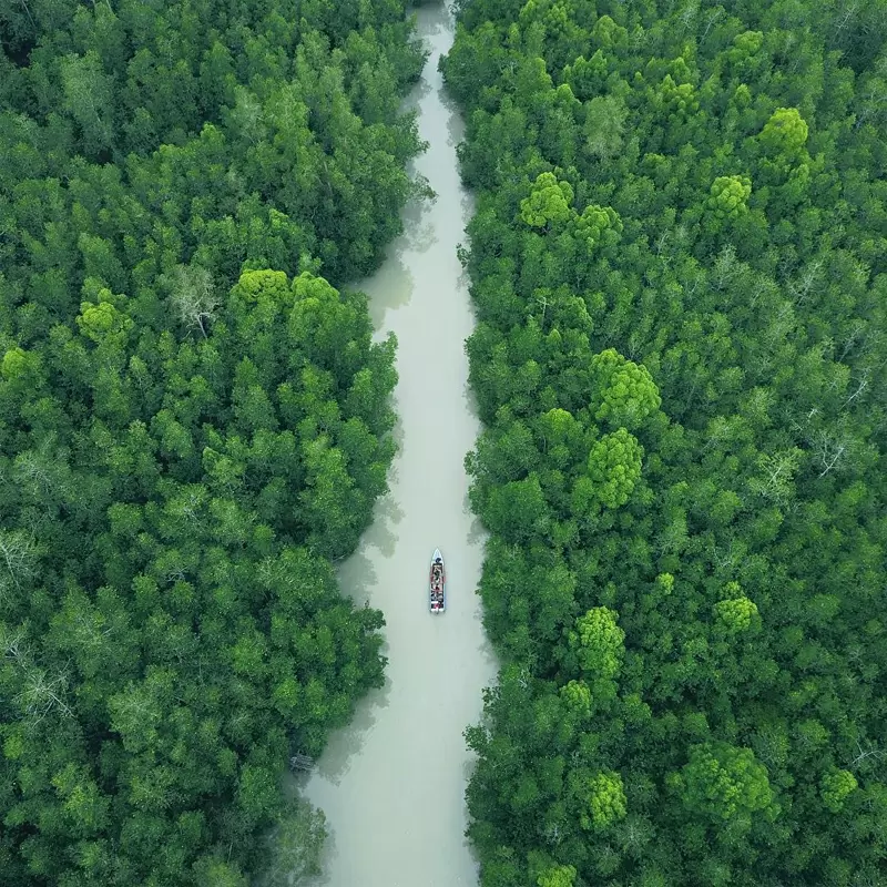 Wisata Mangrove Munjang Kurau Barat