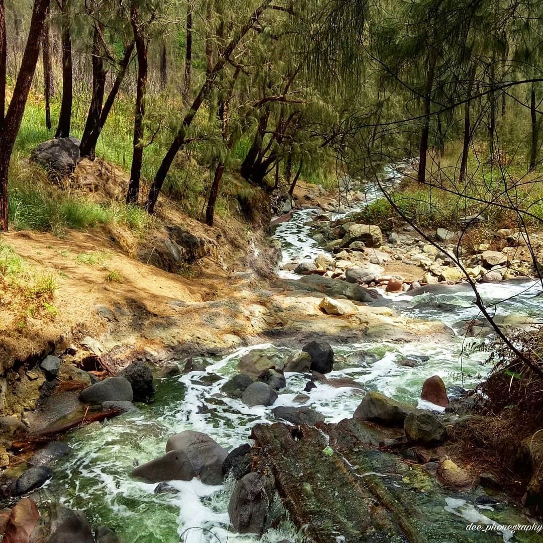 Air Terjun Kalipahit